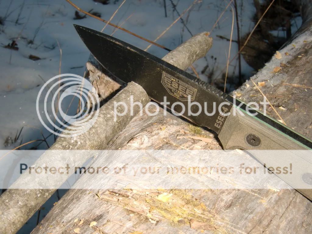 CIMG0440.jpg