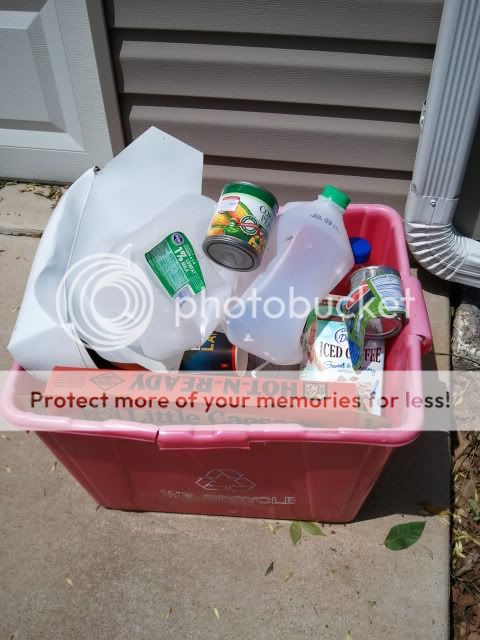 2012-07-03141517.jpg