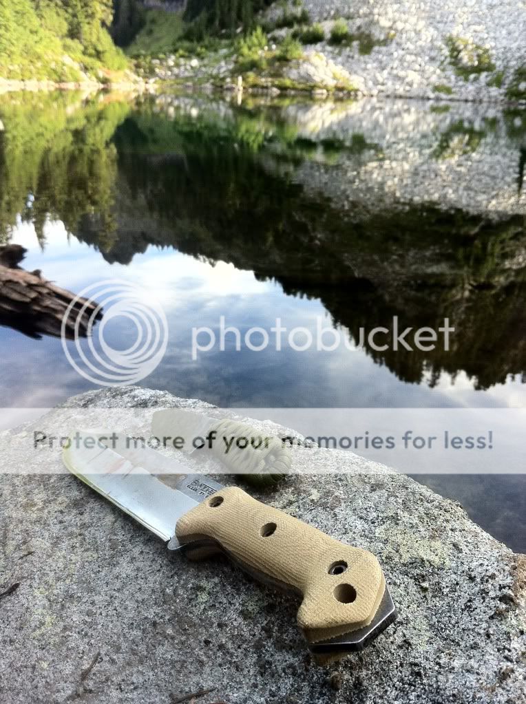 null_zpsb6174719.jpg