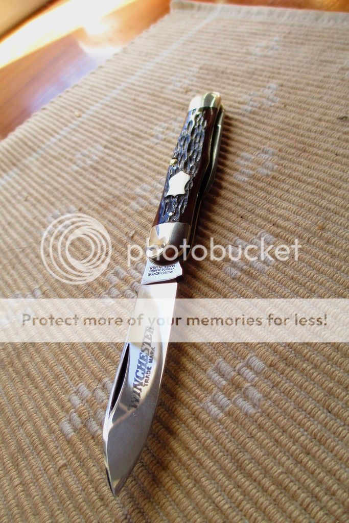 IMG_4468.jpg~original