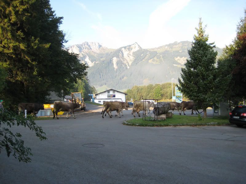 mornig_traffic_1.jpg