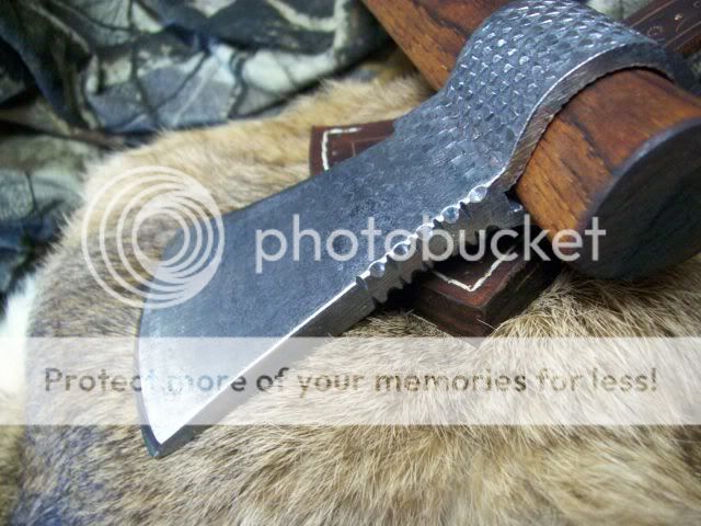 newpics416.jpg