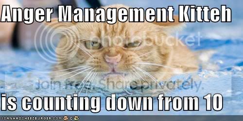 lolcats-funny-pictures-angermanagem.jpg