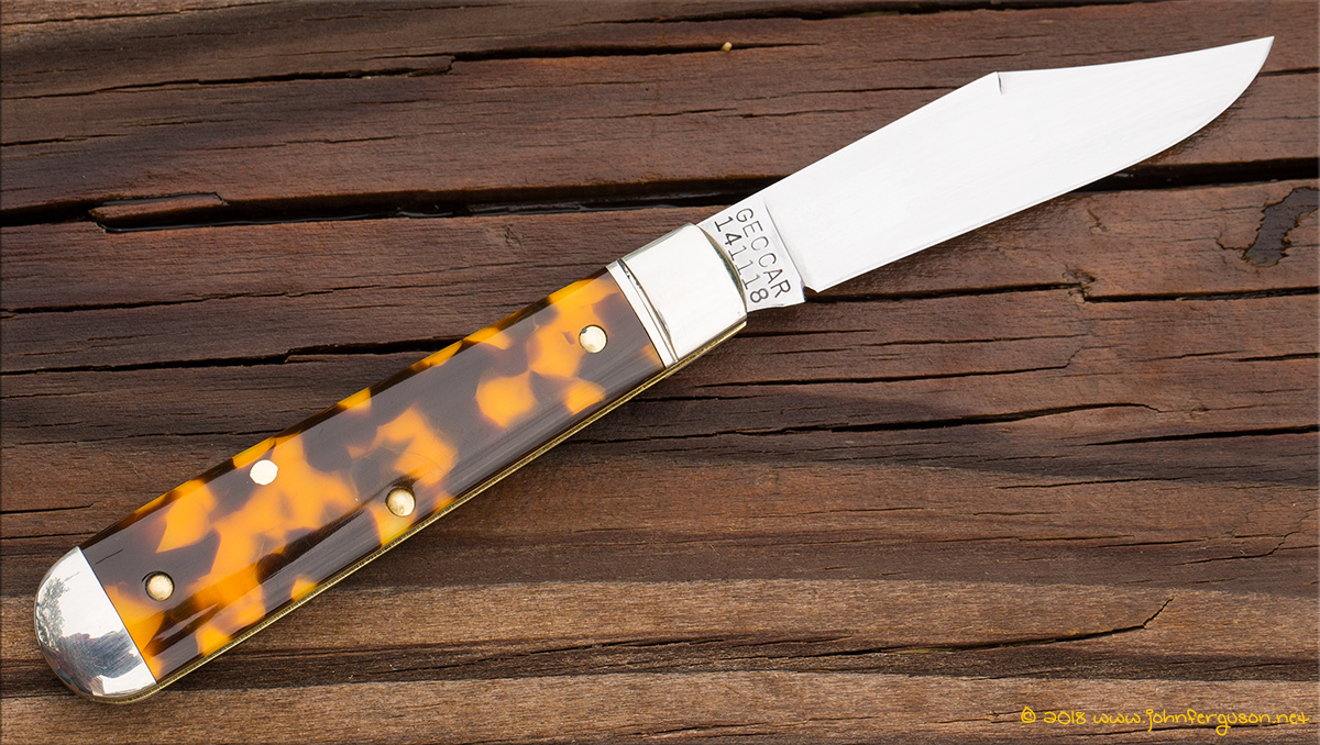 GEC14tortoise-2.jpg
