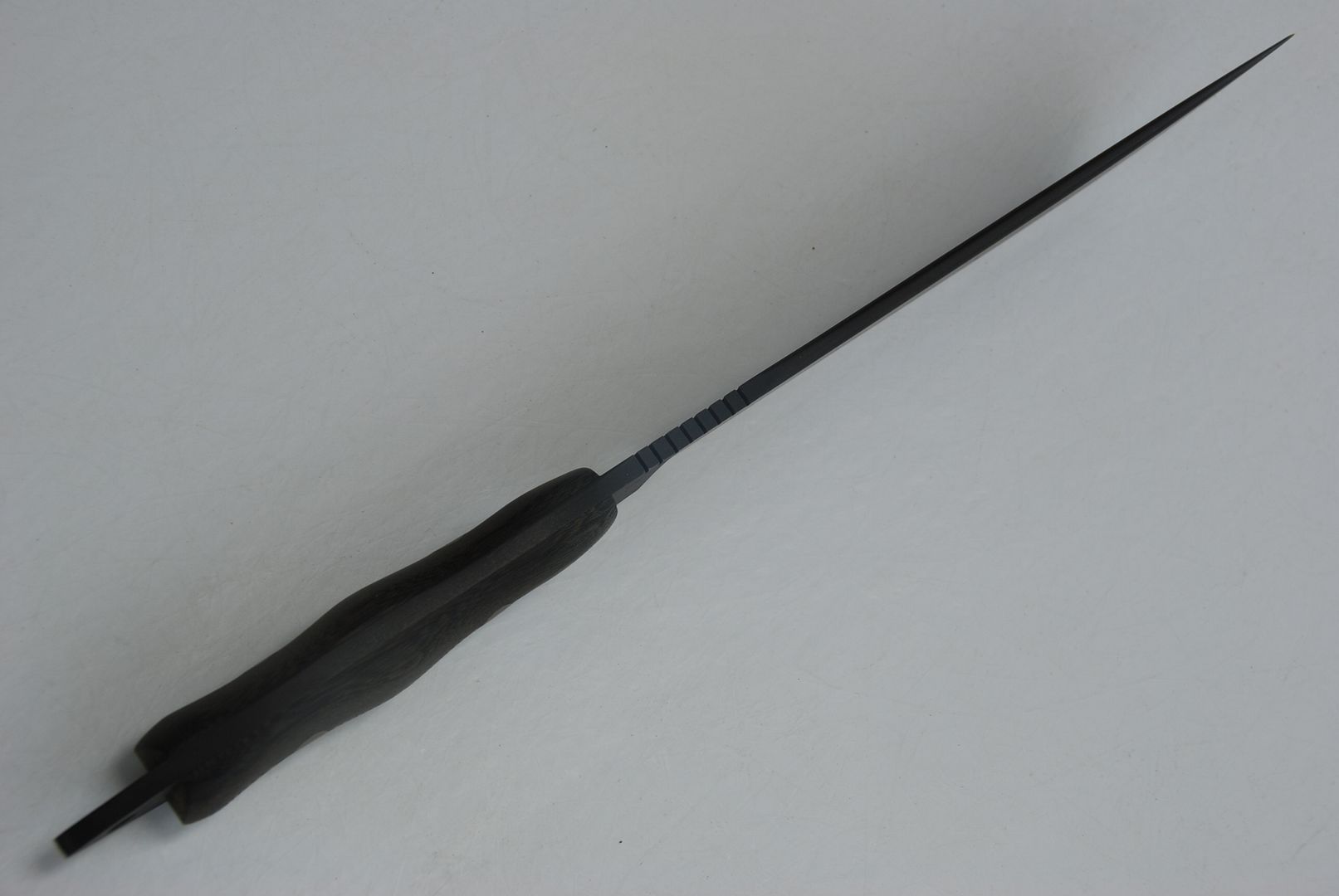 banditswardoginfishba023.jpg