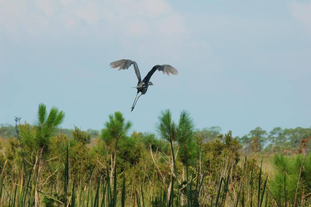 DSC_0142.jpg