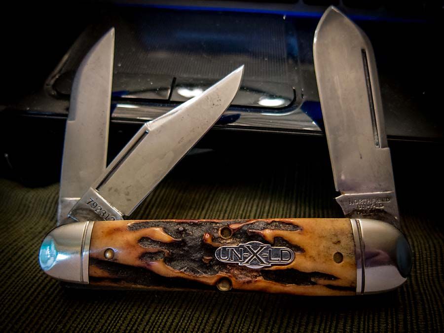 GEC_79_Stag.jpg~original