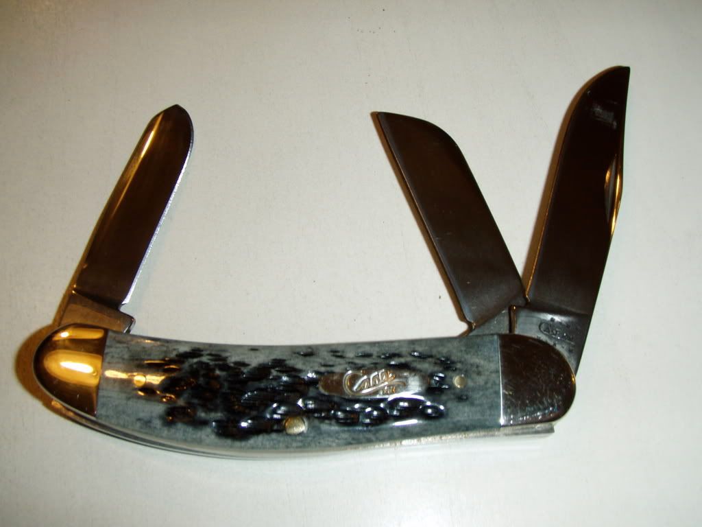 P1010001-1.jpg