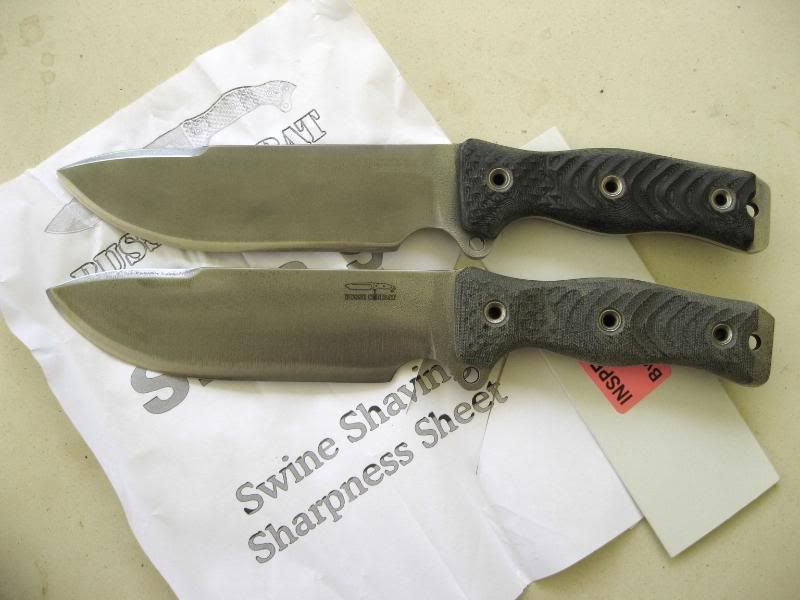 Comp010.jpg
