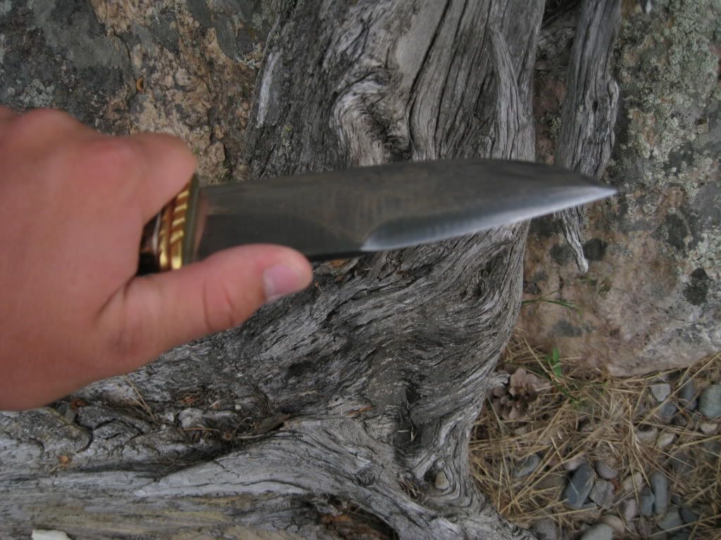 HawkFixedblade004.jpg