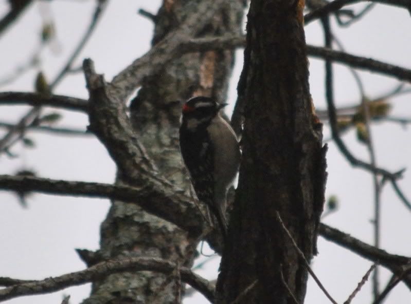 DSC_0428.jpg
