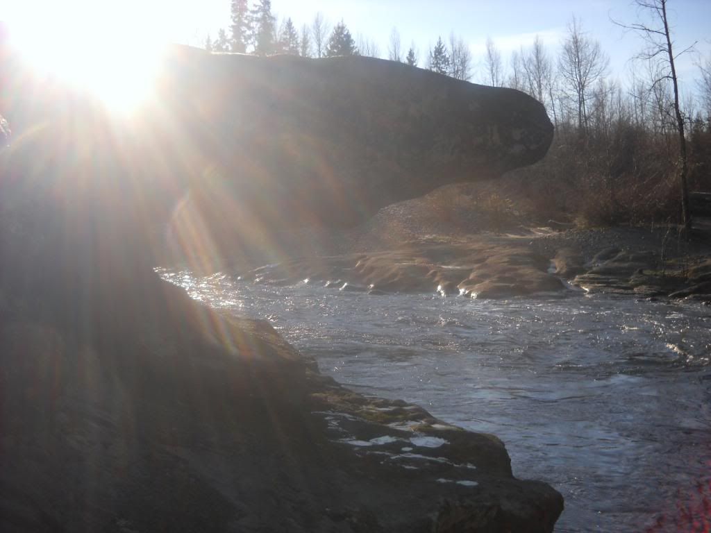 DSCN0287.jpg