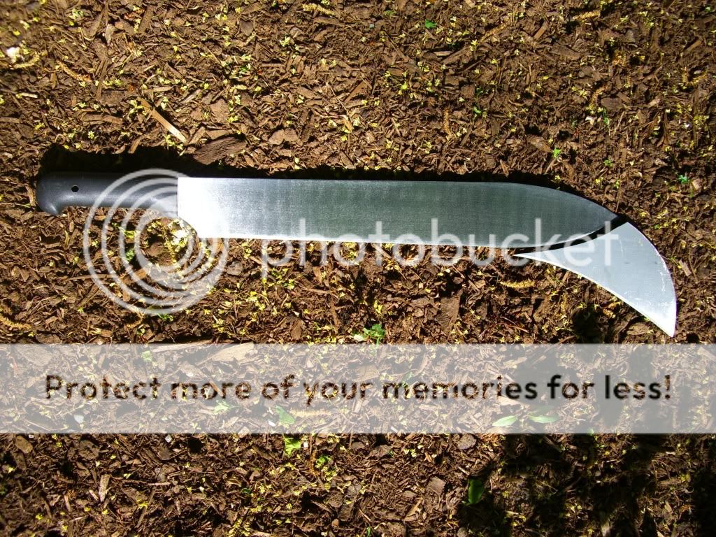 CIMG9677.jpg