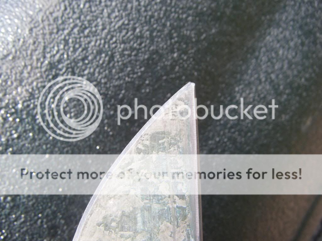 DSCF9198.jpg