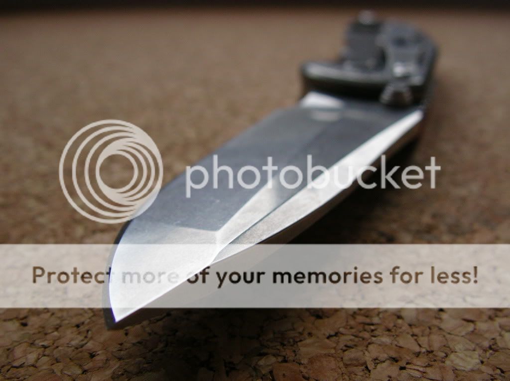IMGP1169.jpg