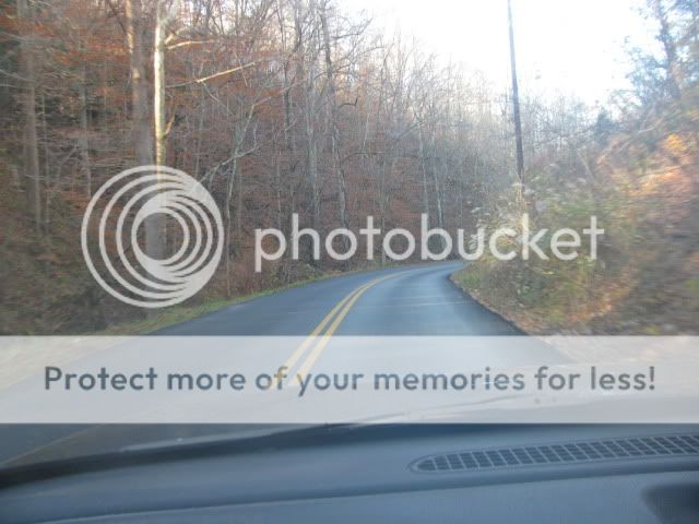 IMG_2066.jpg