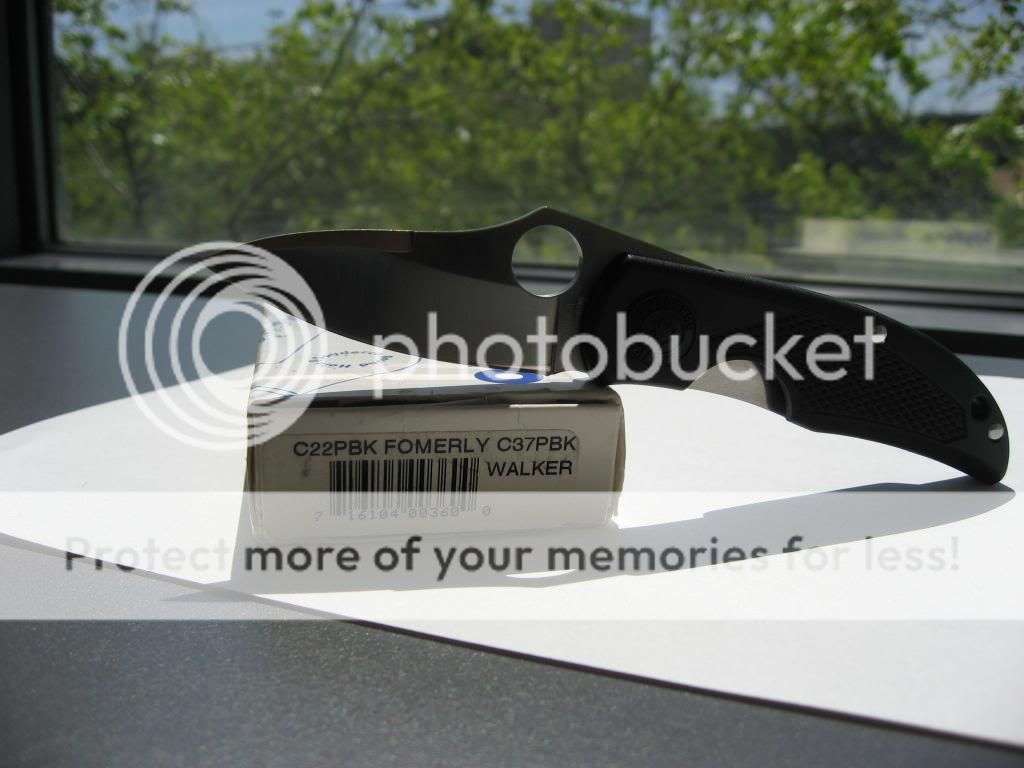 IMG_2923_zpsdb7e6c61.jpg