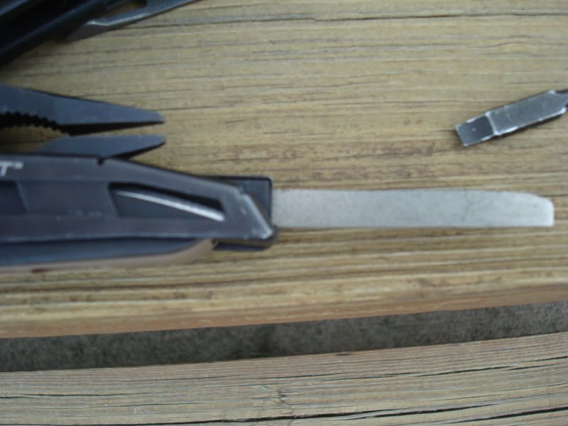 DSC01122.jpg