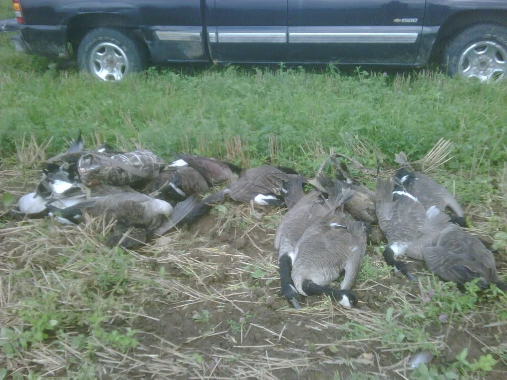 Opener2010.jpg