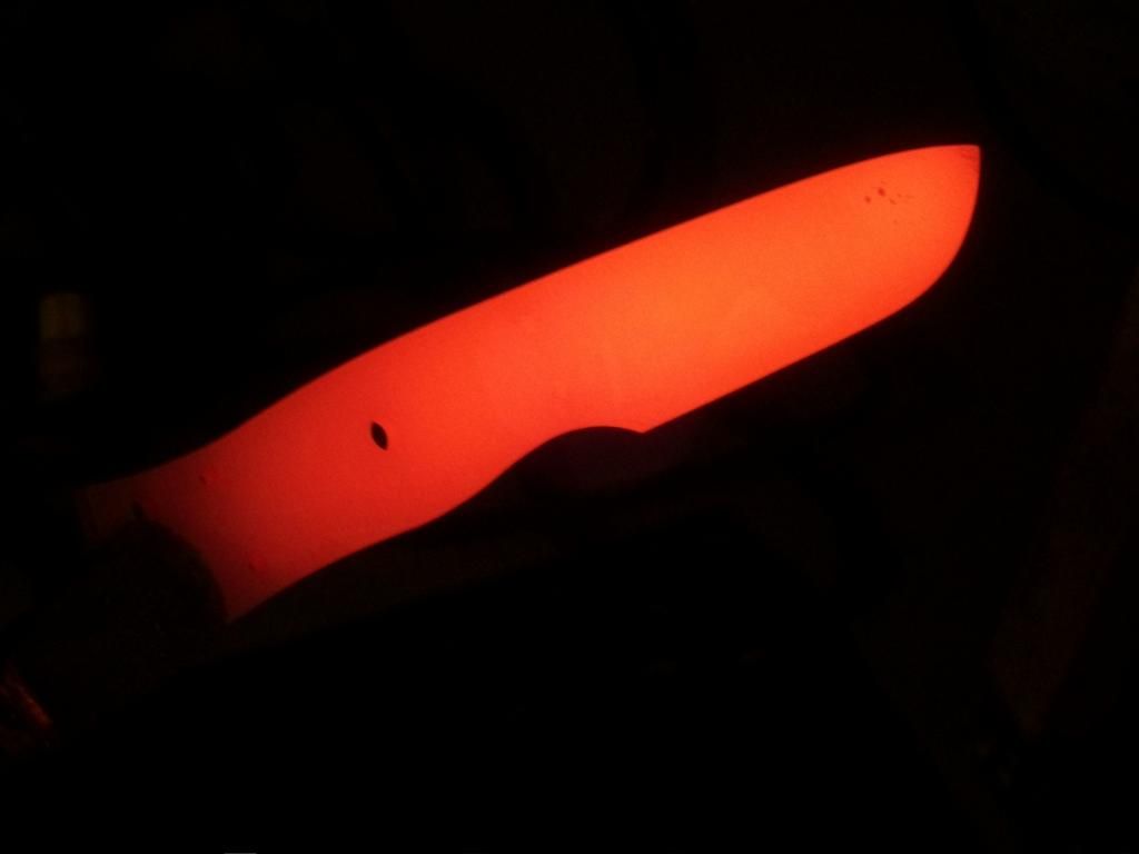fishyforge014.jpg