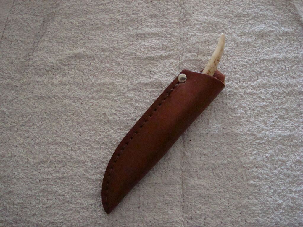 DSC07063_zpsj1fsuxoa.jpg