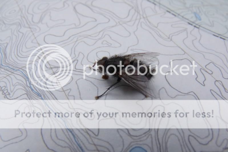 DSCF2491.jpg