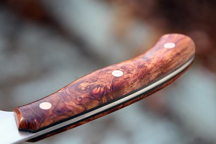 rosewood1095chefknife050.jpg