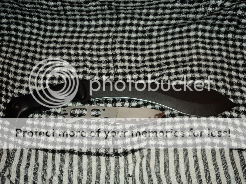 DSC00914.jpg