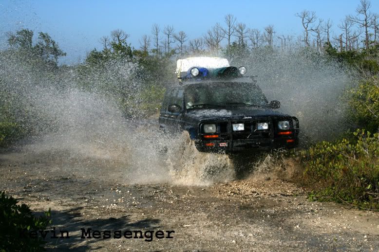 IMG_6417copyright.jpg
