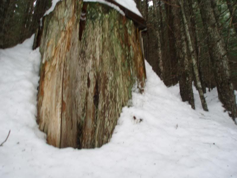 begbiewalk043.jpg