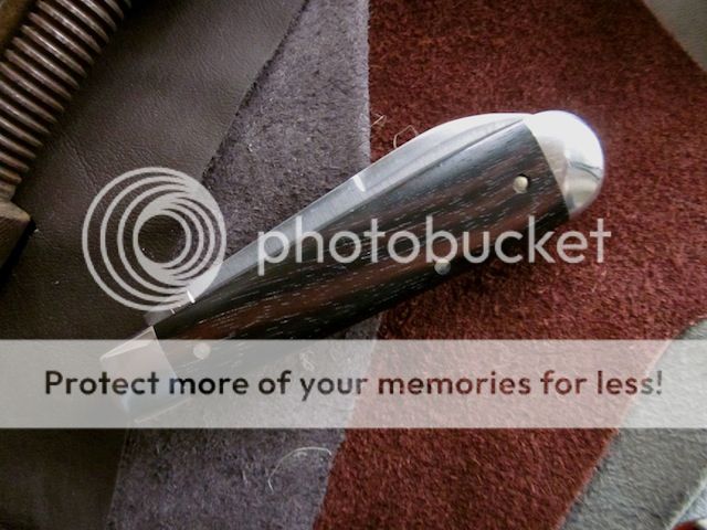 IMG_2583a.jpg~original