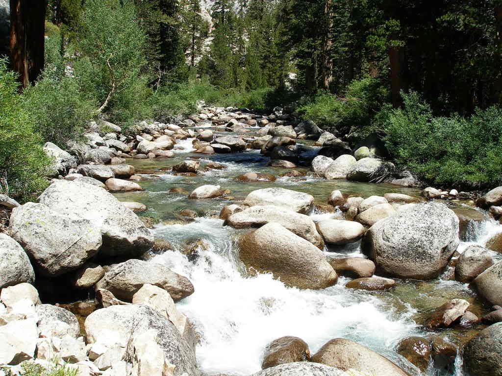 KingsCanyon2008161-1.jpg