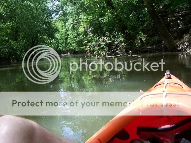 100_3717.jpg