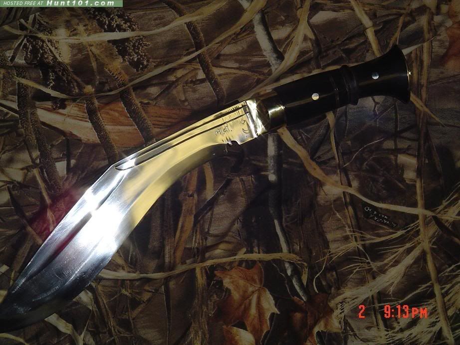 ChiruwaAK-1.jpg