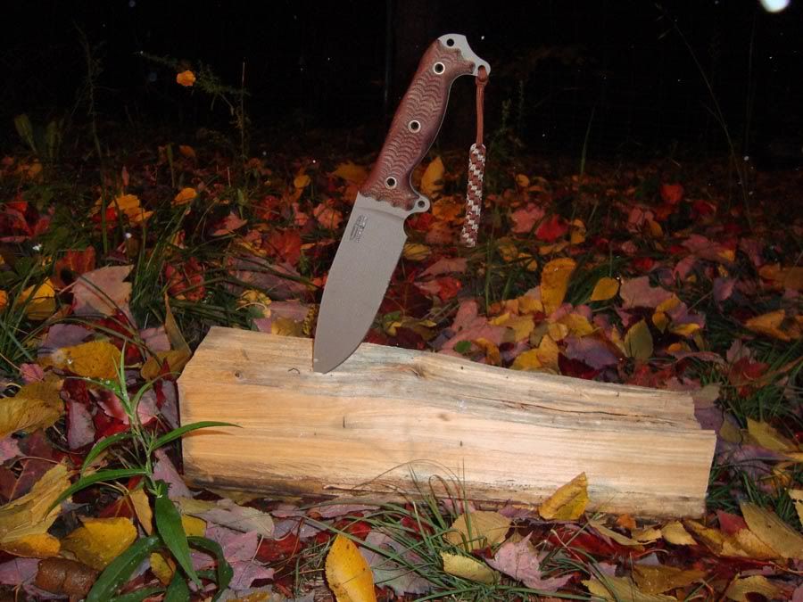 busse5.jpg