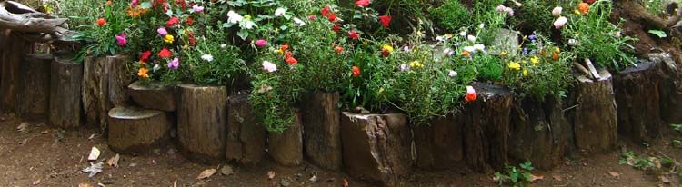 IMG_7688OLDLOGRETAININGBORDER_zps2028c3ed.jpg