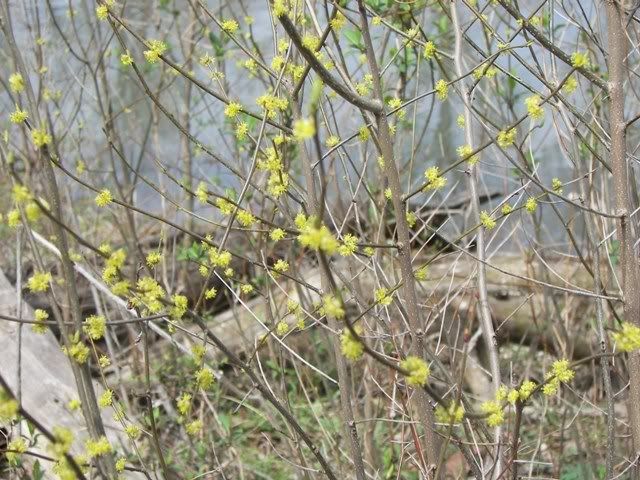 100_4751.jpg