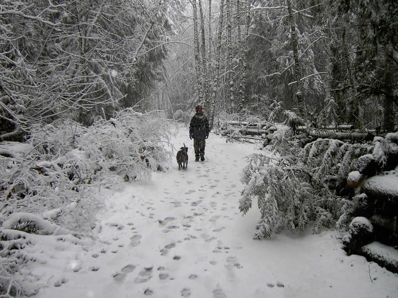 SnowDay007.jpg