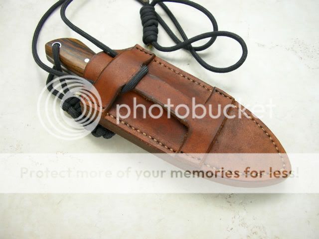 IMGP1434-1.jpg