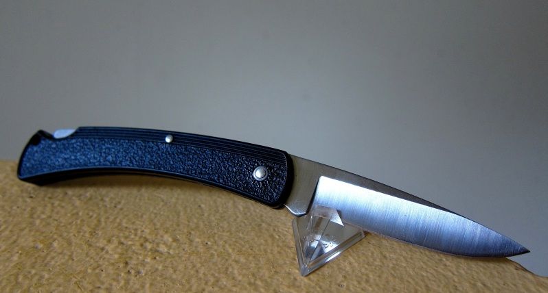 MinBuck4245.jpg