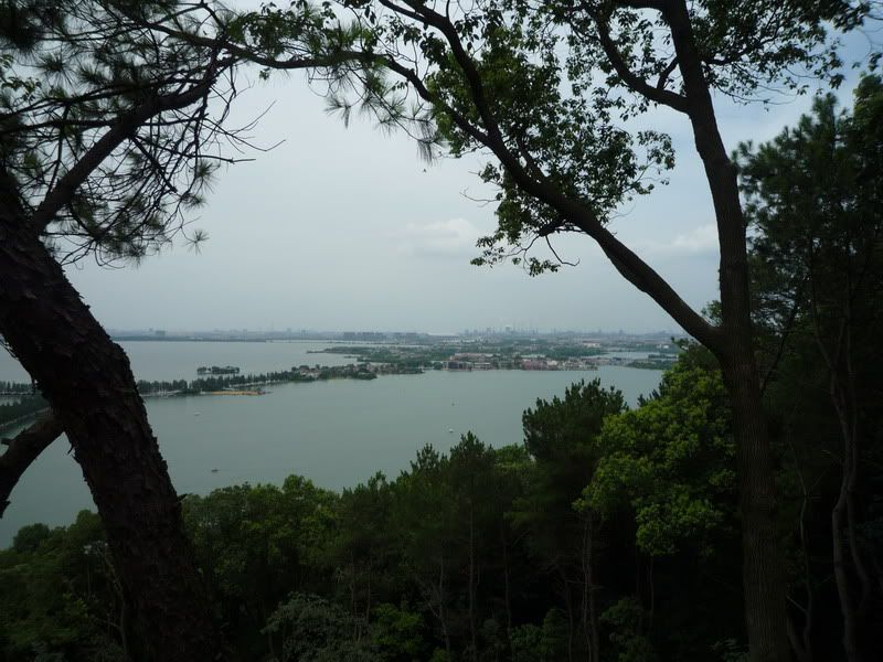 P1080049.jpg