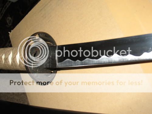 img2869.jpg