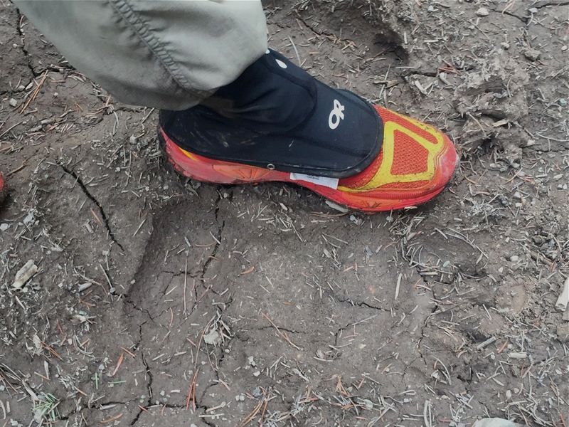 grizztrack_zpsjou6qhus.jpg