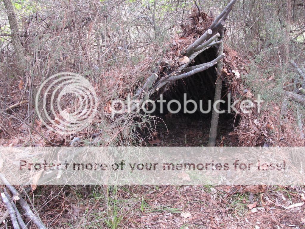 067_zps1e6bc4fb.jpg