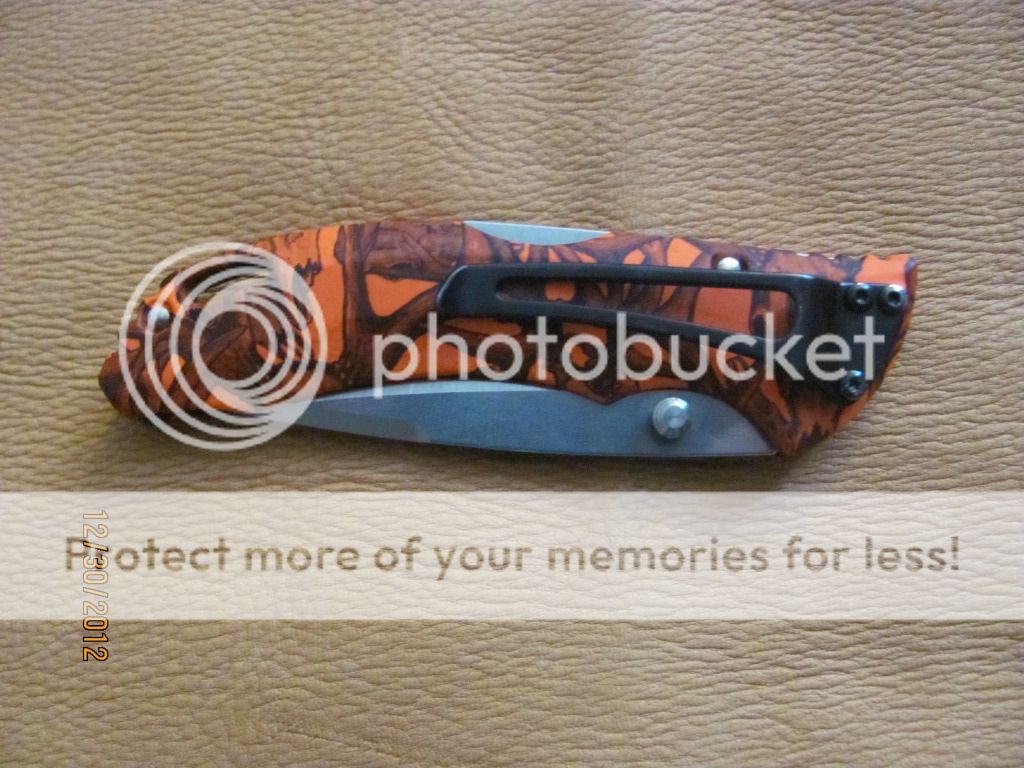 007-20.jpg