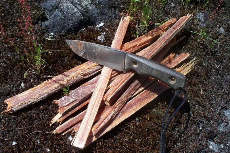 FatwoodBabel2.jpg