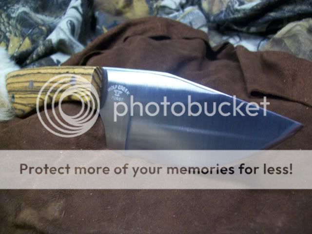 100_3956.jpg
