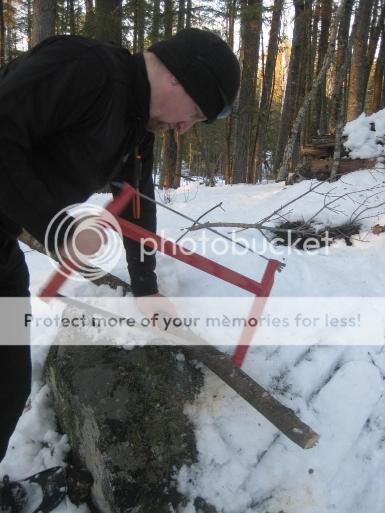 IMG_0205-1_zps00ac2ecb.jpg
