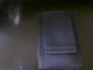 Picture254.jpg
