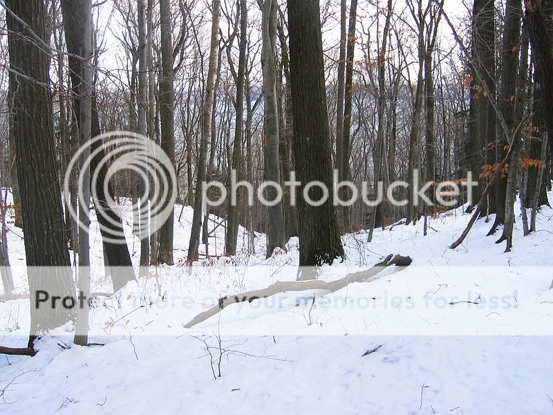IMG_2276.jpg